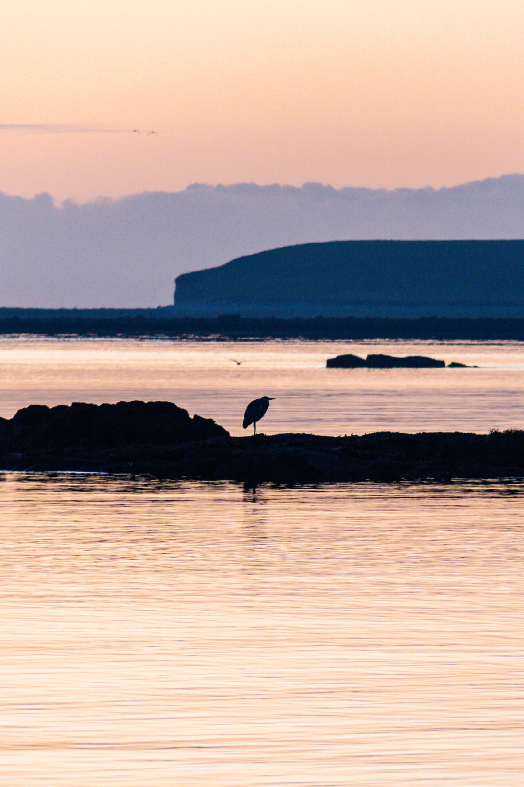 Galway ©Cécile Asquier