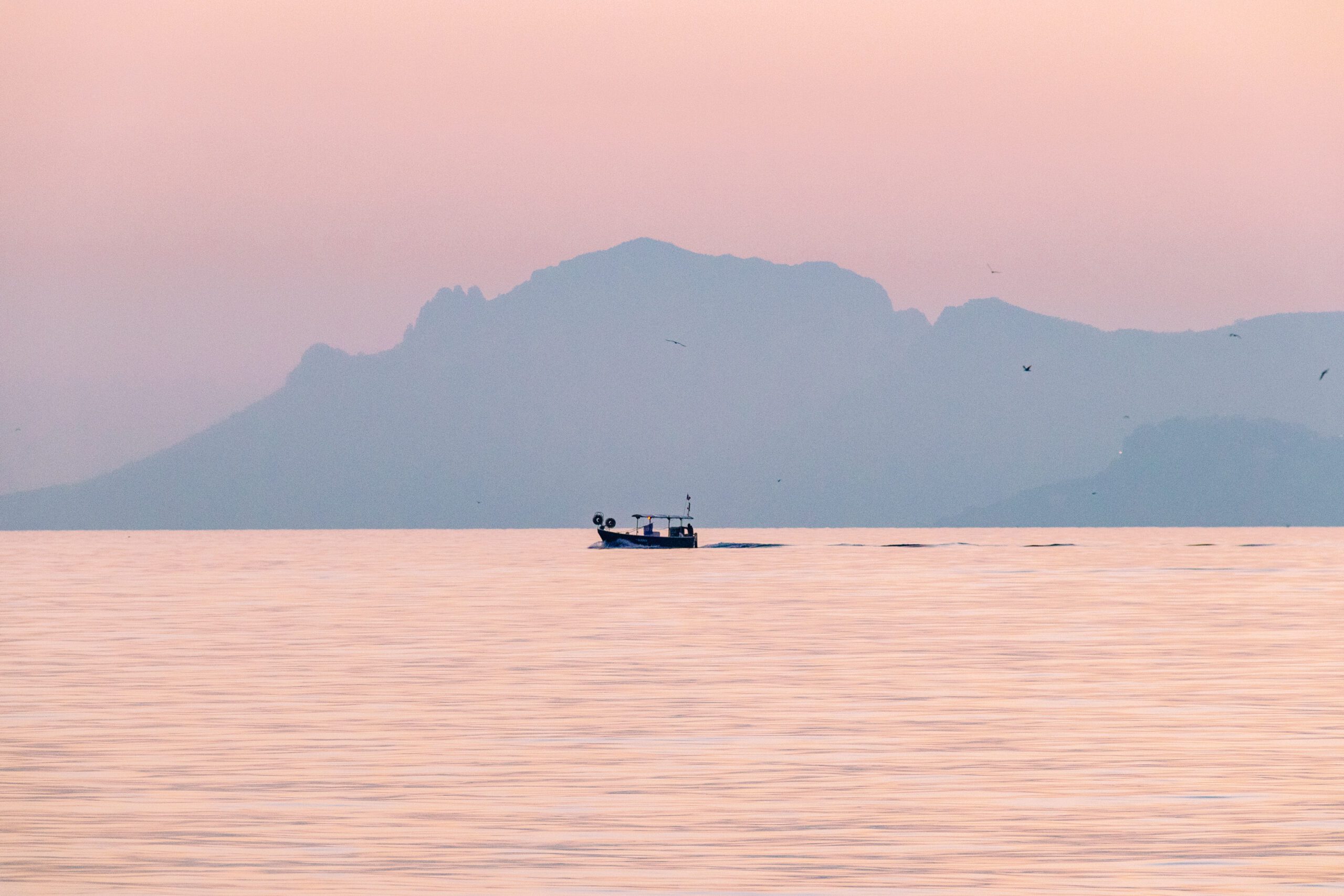 Baie de Cannes ©Cécile Asquier