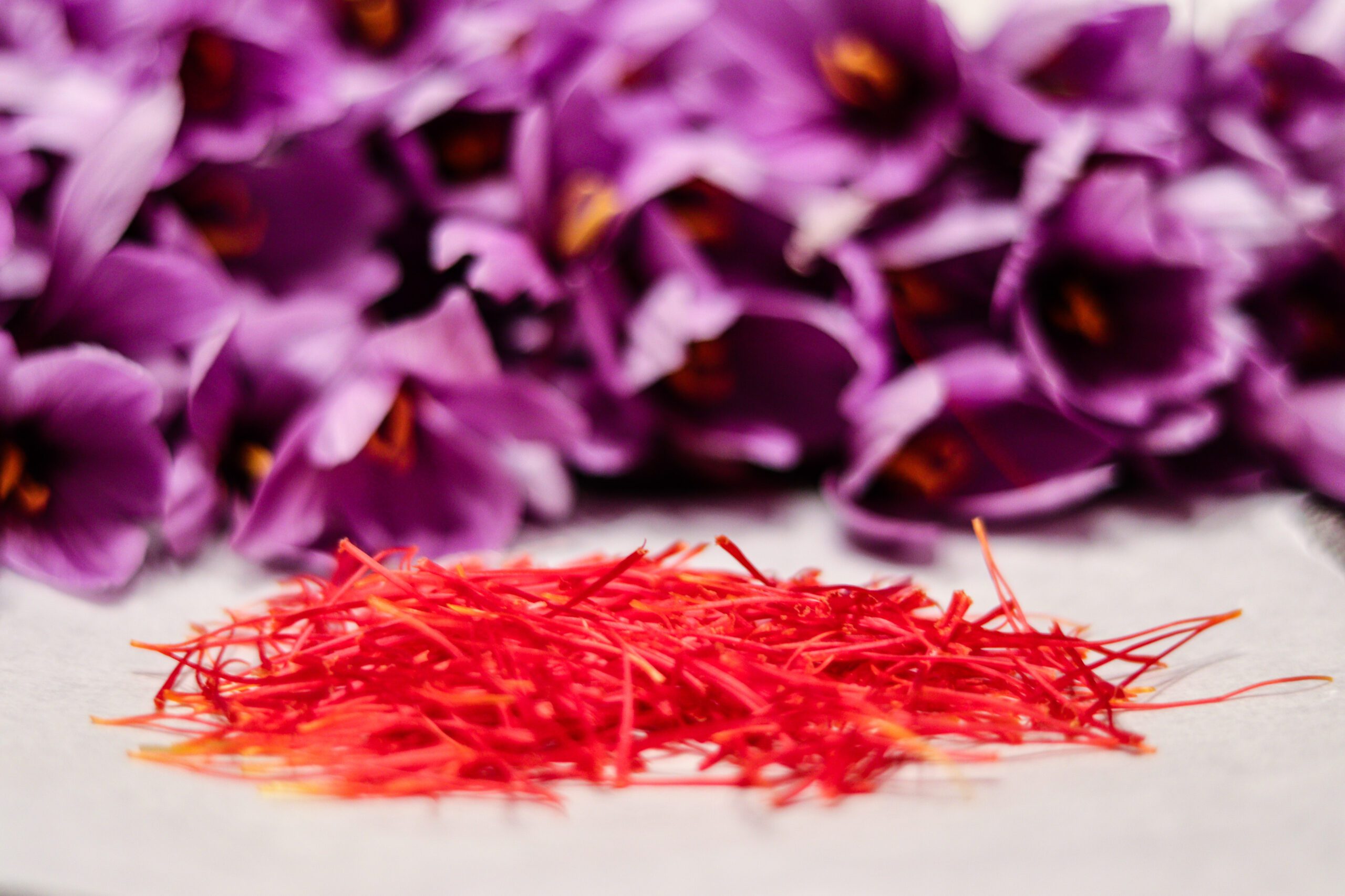 Safran du Quercy ©Cécile Asquier